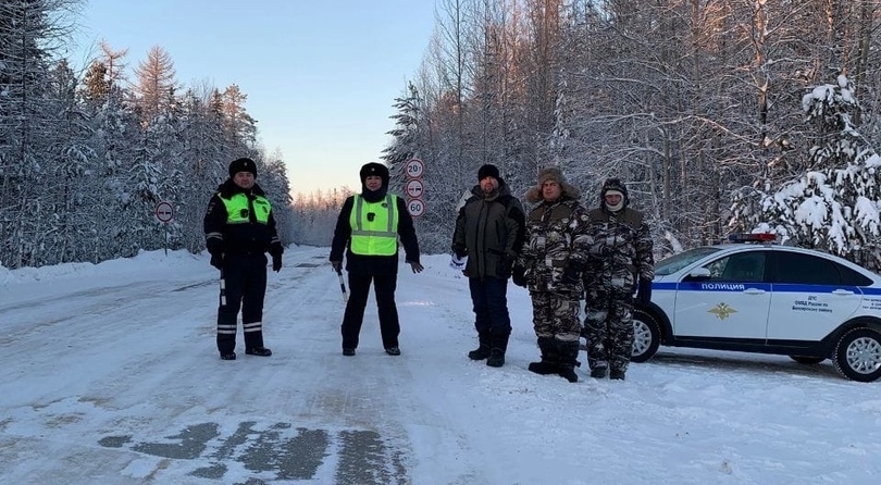 "Операция Ель"