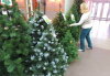 В Белоярском началась продажа новогодних Ёлок