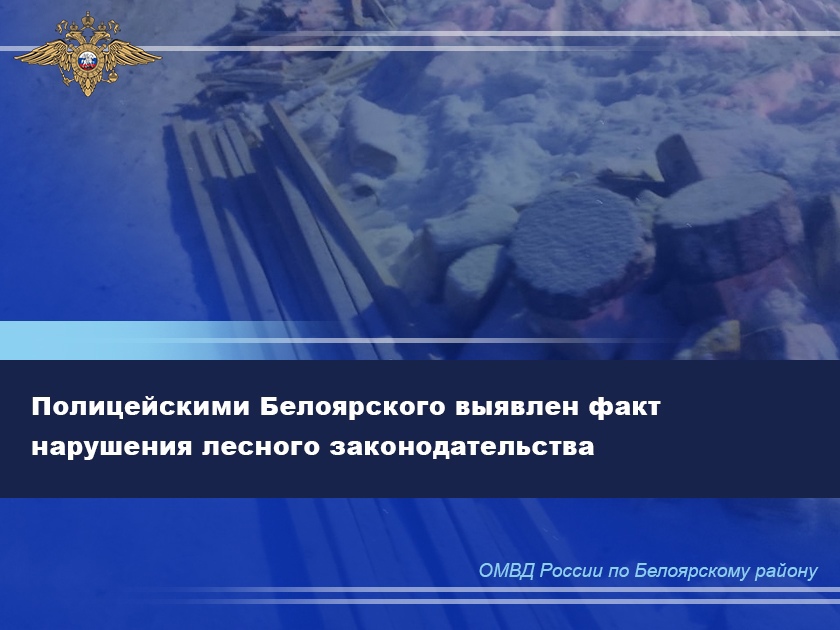 Полицейскими Белоярского выявлен факт нарушения лесного законодательства