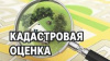 Проект отчета о государственной кадастровой оценке в ХМАО-Югре