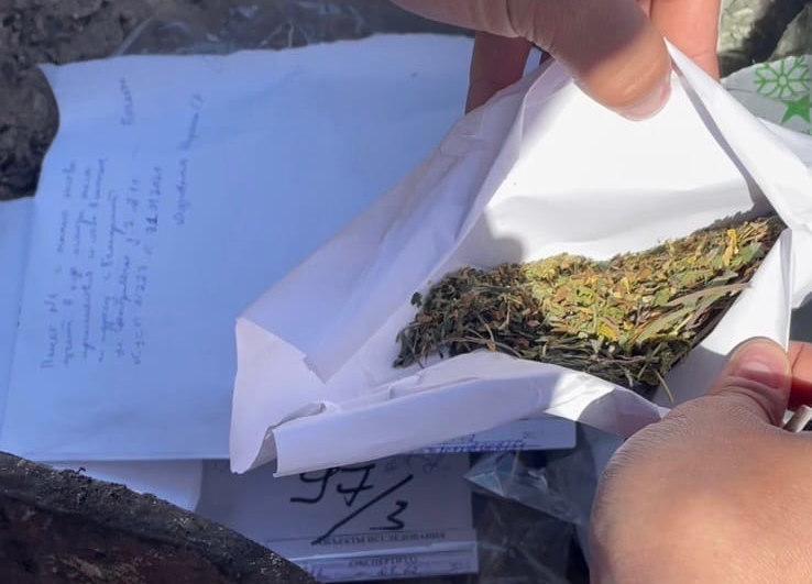 Вырастил коноплю - получил уголовное дело