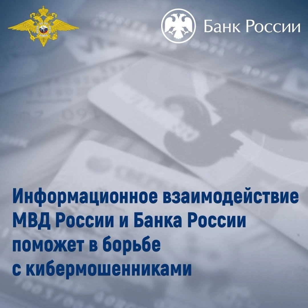 Информационное взаимодействие МВД России и Банка России поможет в борьбе с кибермошенниками