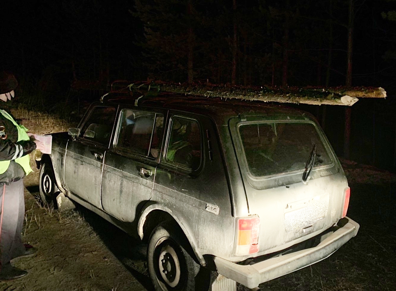 В Белоярском местный житель подозревается в незаконной рубке леса