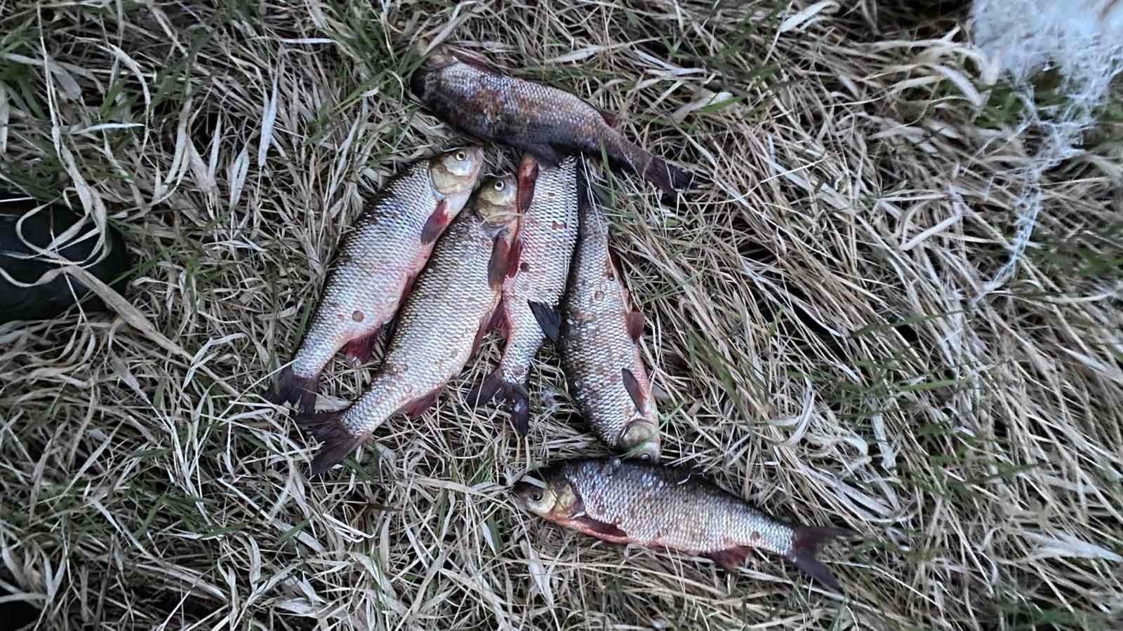 В Белоярском районе гражданин наловил рыбы на уголовное дело