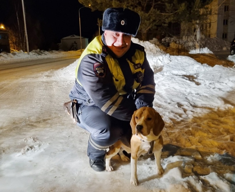 Госавтоинспекторы помогли белоярцу найти потерянного пса